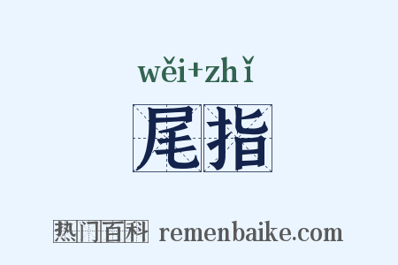 尾指是什么意思的图片